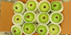 Fresh Guava