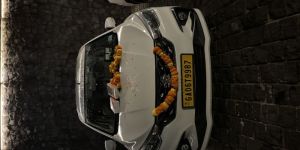 Car Rentals