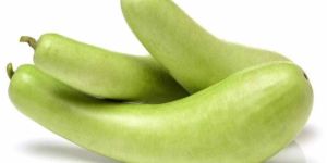 A Grade Organic Bottle Gourd
