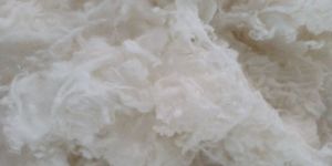 Bleached Cotton