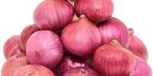 Onions