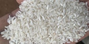 Swarna White Rice