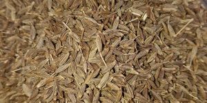 Cumin Seeds