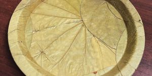 Sal Leaf Tiffin Plate 10 Inch