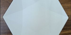 Bagasse Disposable Plate 7inch