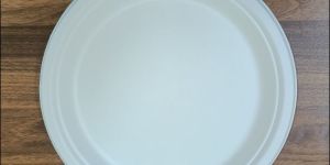 Bagasse Disposable Plate 9inch