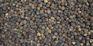 Black Pepper