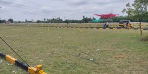 Agriculture Land Sale