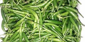Green Chilli