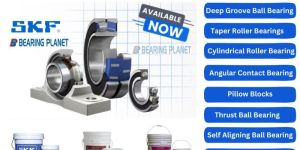 Skf Bearing