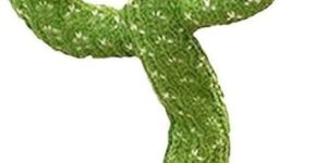 Dancing Cactus Toy