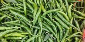 Green Chilli