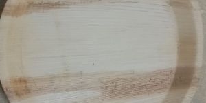 areca nut leaf dinner plate