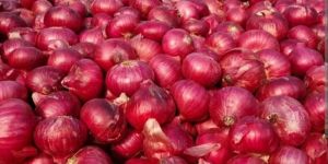 Onions