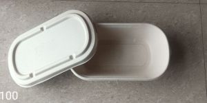 Bagasse Container