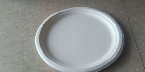 Bagasse Plate