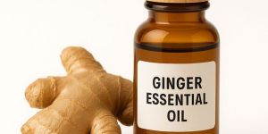 Ginger Essential Oil