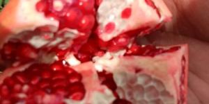 Pomegranate