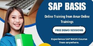 SAP BASIS Online Trainings in Hyderabad