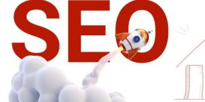 Search Engine Optimization