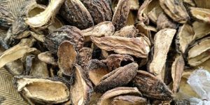 Dried Mangoes
