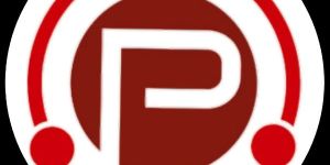 Packers and Movers in Patiala