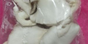 White Oyster Mushroom