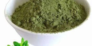 Green Dried Mint Powder