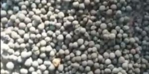 Iron Ore Pellets
