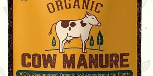 Cow Dung Manure