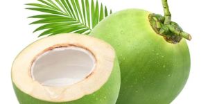 Organic Tender Coconut