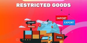 dgft restricted goods consultants