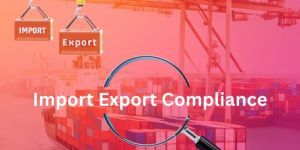 Import Export License