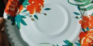 Disposable Paper Plates