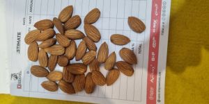 Almond