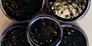 Shilajit
