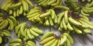 Fresh Banana Fruit