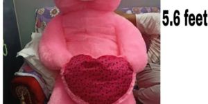 115 stand soft teddy bear