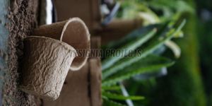 Compostable Plant Holder