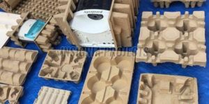 Pulp Moulded Trays