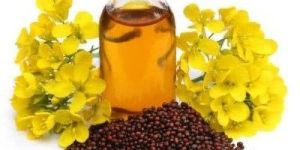 Mustard Essential Oil