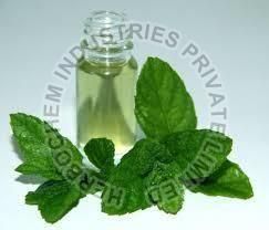Mentha Piperita Oil