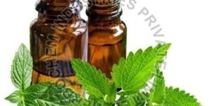Spearmint Oil