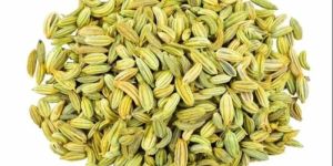 A Grade Organic Fennel Seed