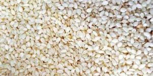 A Grade Organic White Sesame Seed