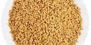 a Grade Wheat Grain
