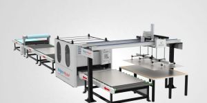 Valgro Sheet Grinding Polishing Machine