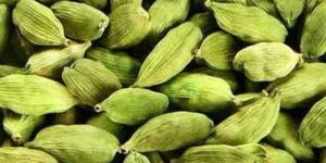 Green Cardamom