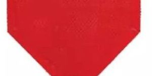 Lifeguard Fire Beater