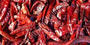 A Grade Organic Dry Red Chill